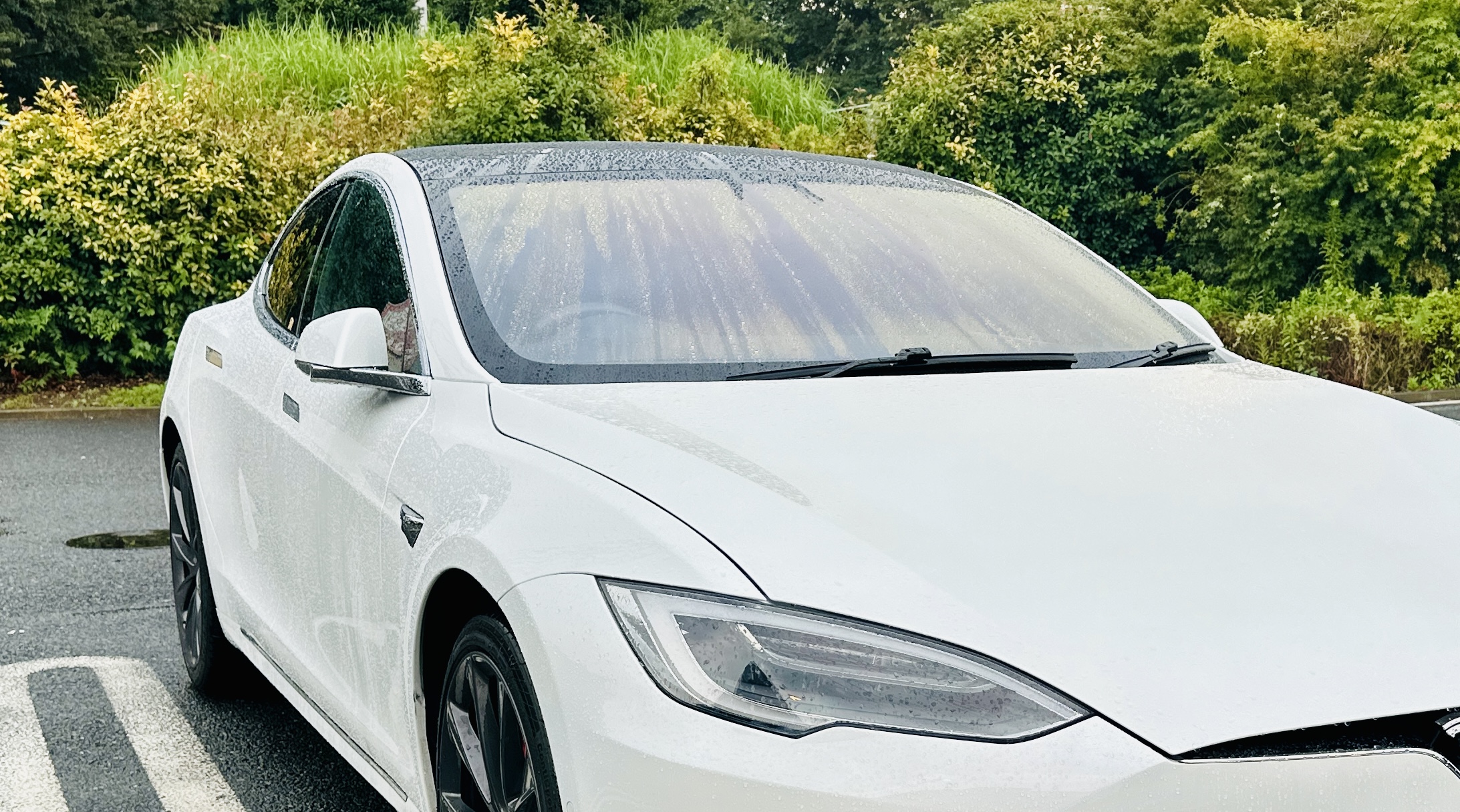 Model 3ハイランド向けプロテクションフィルム相談